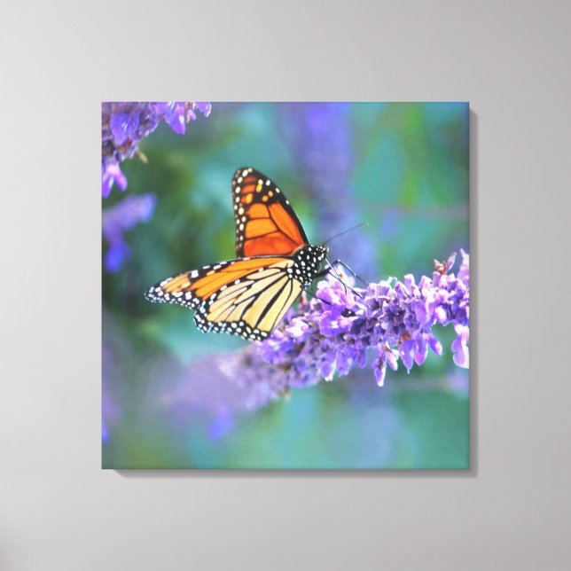 Toile Papillon Monarque sur Fleur violette lilas (Recto)