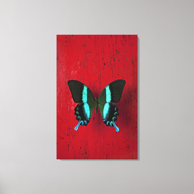 Toile Papillon noir et bleu sur mur rouge (Recto)