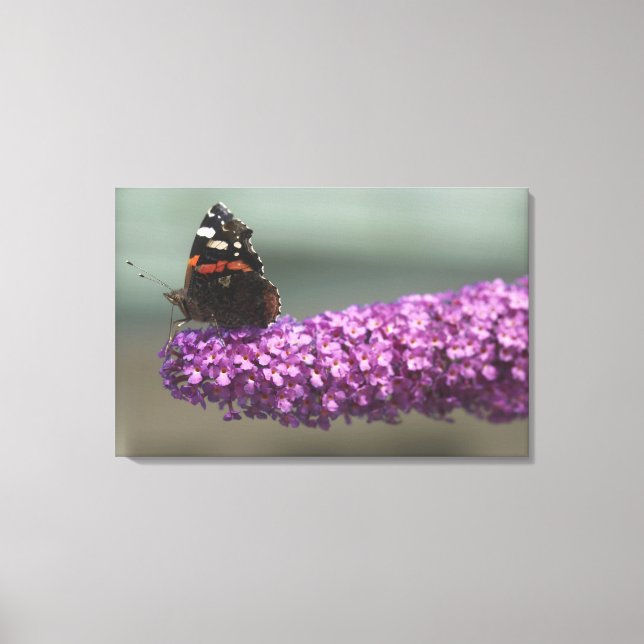Toile Papillon paon sur fleur (Recto)