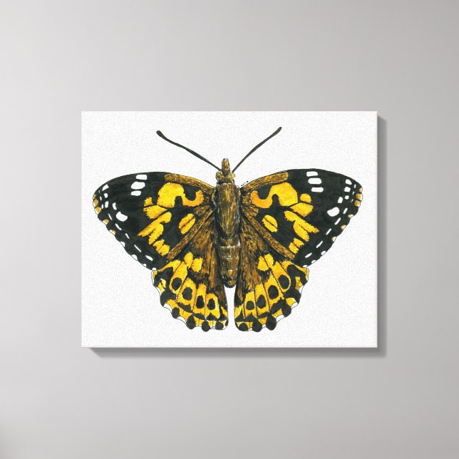 Toile Papillon peint lady (Recto)