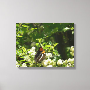 Toile Papillon-soeur de Californie en Yosemite