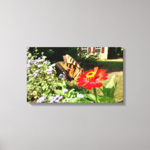 Toile Papillon sur Flower devant la maison - Horizontal