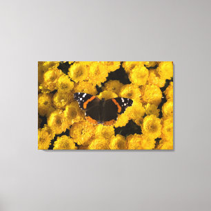 Toile Papillon sur les asters jaunes