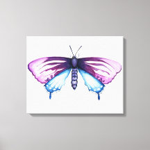 papillon swallowtail de la pipevine de Californie