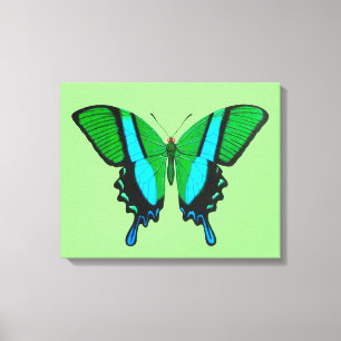 Toile Papillon Swallowtail en vert, turquoise et noir