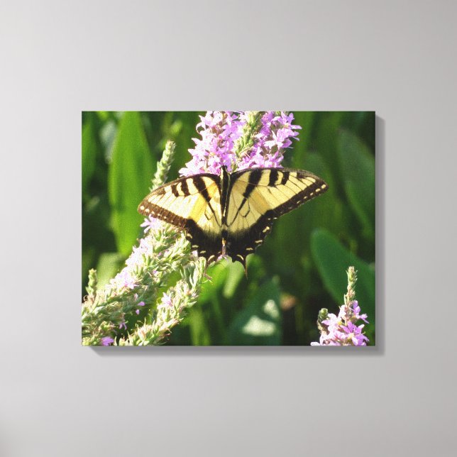 Toile Papillon Swallowtail sur Fleurs sauvages pourpres (Recto)