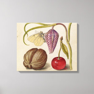 Toile Papillons noix Fleur Cerisier Aquarelle Art