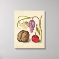 Papillons noix Fleur Cerisier Aquarelle Art