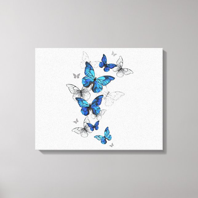Toile Papillons volants bleus Morpho (Recto)