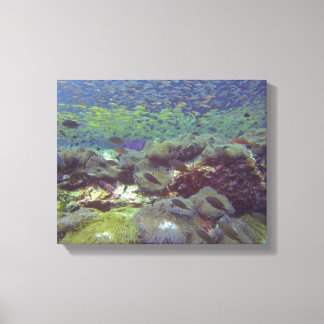 Toile Paradis sous-marin Similan Islands Thaïlande