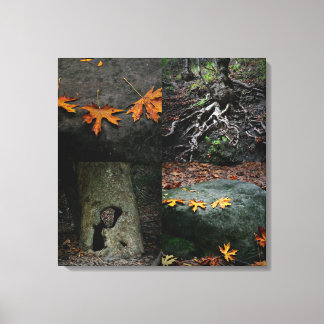 Toile Parc des chutes Nojoqui