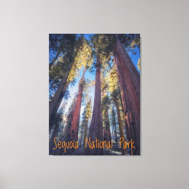 Toile Parc national de Sequoia Californie (Recto)