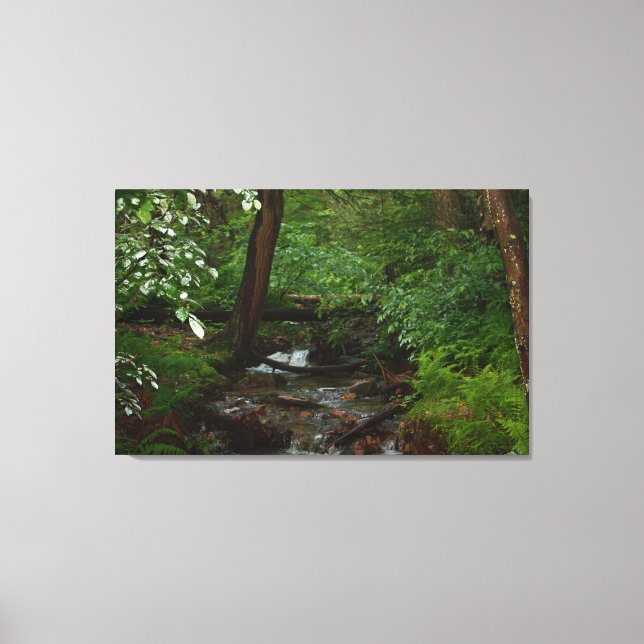 Toile Parc national Iron Horse Trail (Recto)