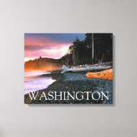 Parc national Olympique | État de Washington