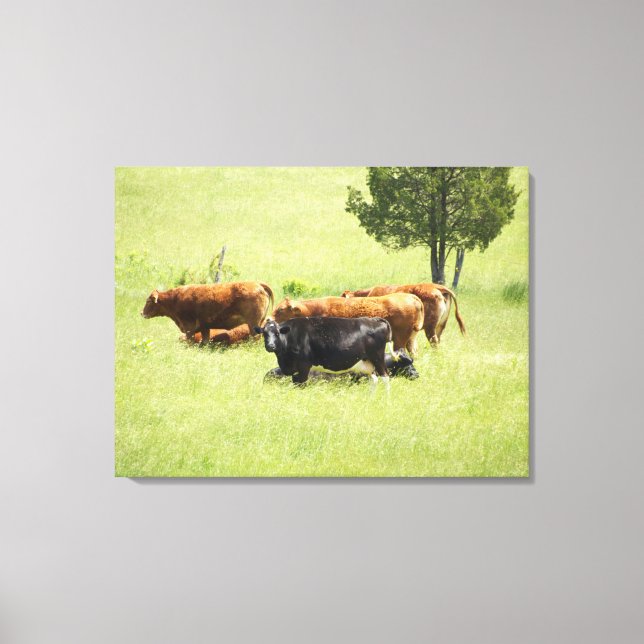 Toile Pastoral (Recto)