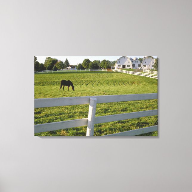 Toile Pâturage de chevaux à la ferme (Recto)