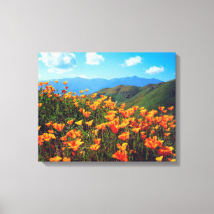 Toile Pavot californien recouvrant une colline