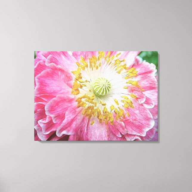 Toile Pavot rose frileux (Recto)
