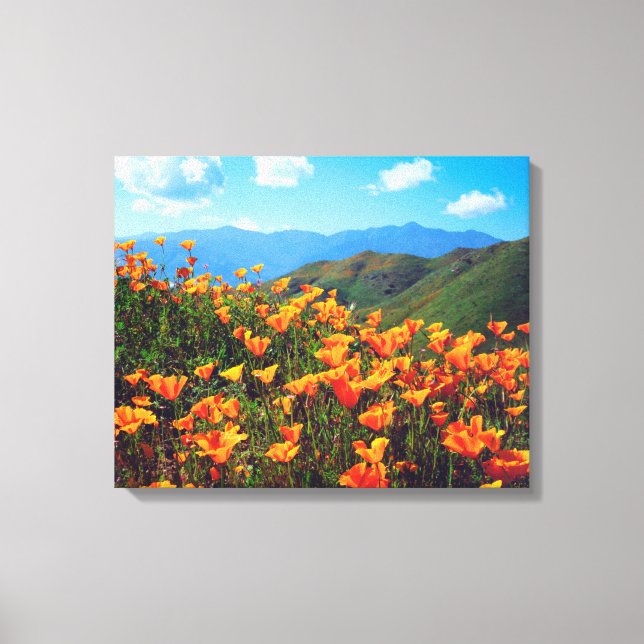 Toile Pavots de Californie Couvrant un Versant (Recto)