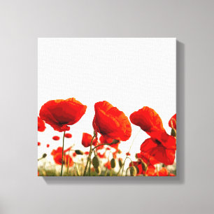 Toile Pavots rouges
