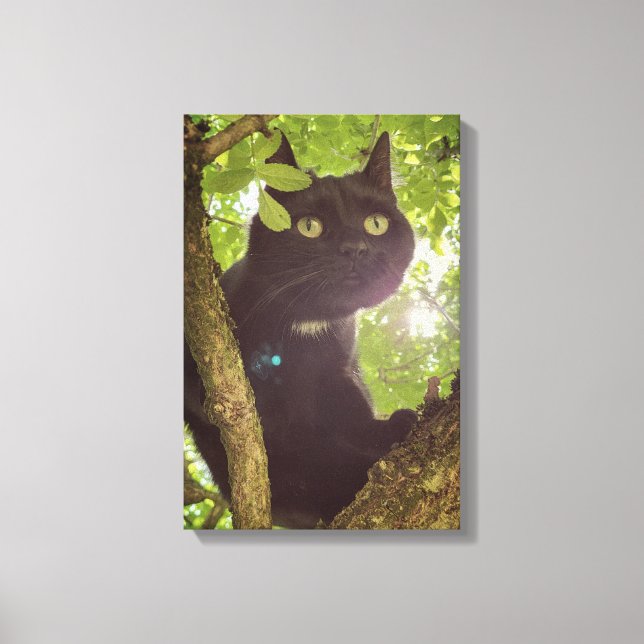 Toile Paws of the Wild (Recto)