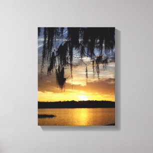 Toile Paynes Prairie Floride coucher de soleil