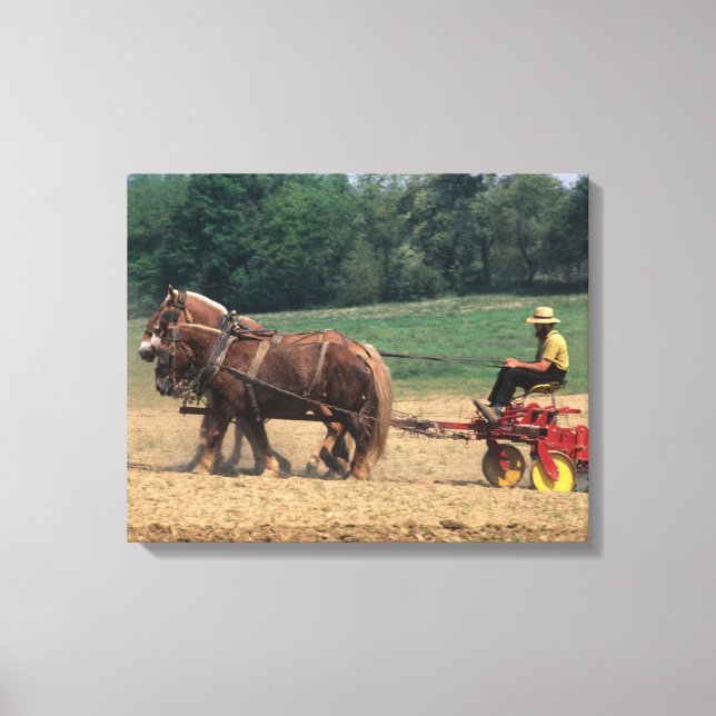 Toile Pays Amish gens simples dans l'agriculture avec (Recto)