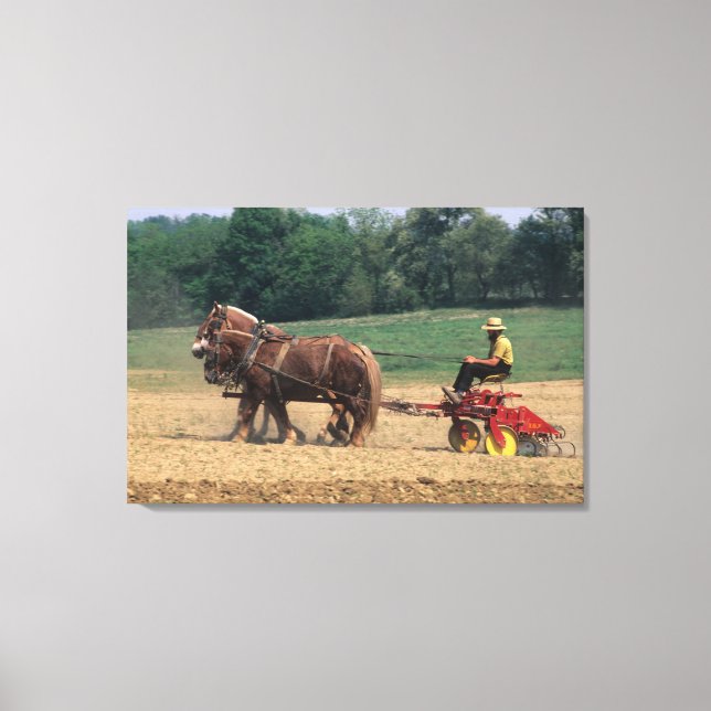 Toile Pays Amish gens simples dans l'agriculture avec (Recto)