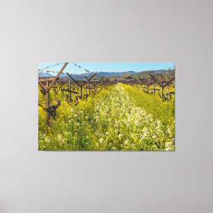 Toile Pays vinicole