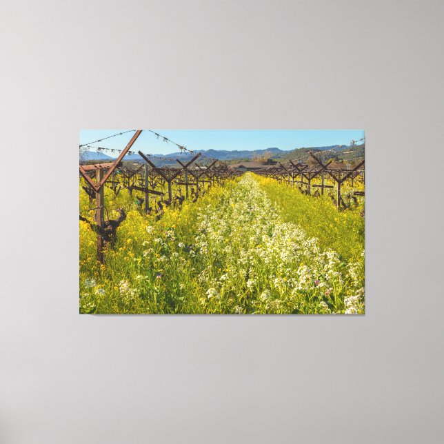 Toile Pays vinicole (Recto)