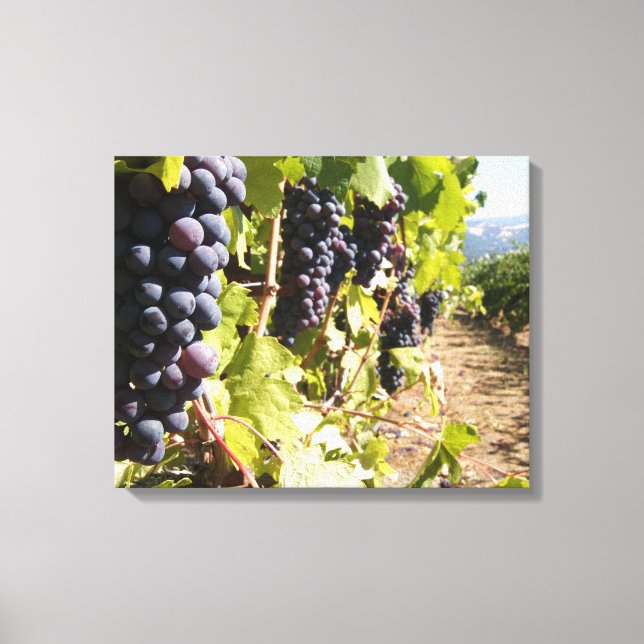 Toile Pays vinicole de Californie (Recto)