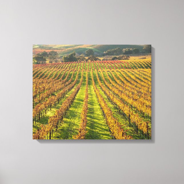 Toile Pays vinicole de Californie (Recto)