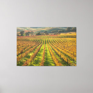 Toile Pays vinicole de Californie