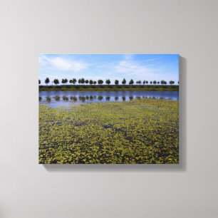 Toile Paysage