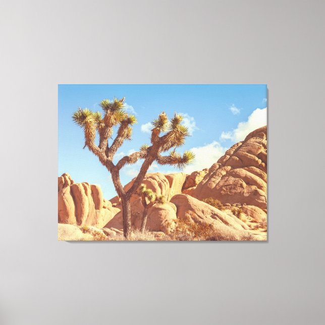 Toile Paysage d'arbres de Joshua avec formations rocheus (Recto)
