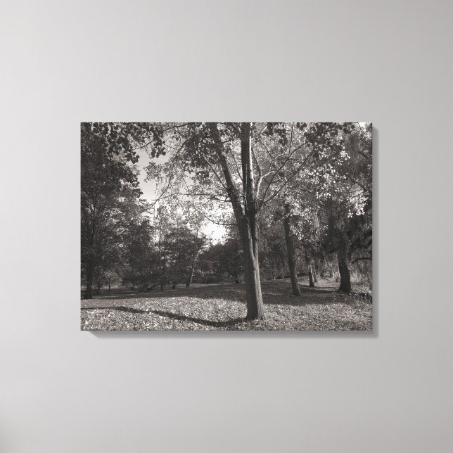 Toile Paysage d'automne, Bute Park, Cardiff (Recto)