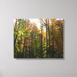 Toile Paysage d'automne de forêt ensoleillée