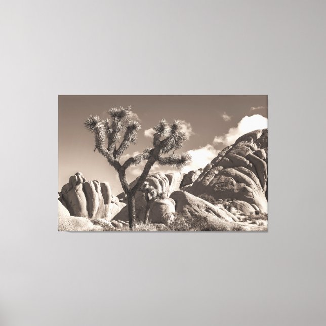 Toile Paysage de Joshua Tree Sepia Tone (Recto)