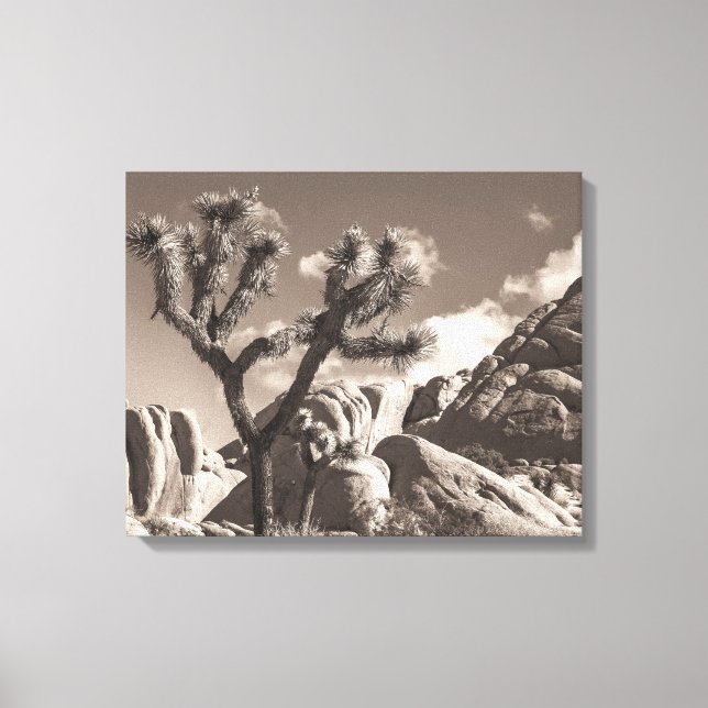 Toile Paysage de Joshua Tree Sepia Tone (Recto)