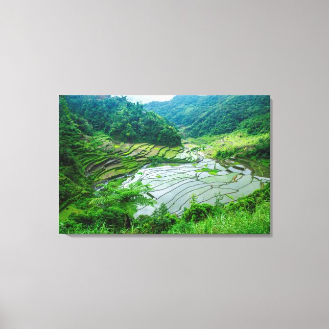 Toile Paysage de rizières, Philippines (Recto)