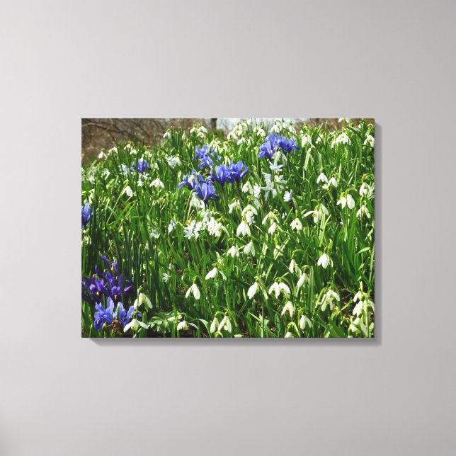 Toile Paysage des fleurs du début du printemps (Recto)
