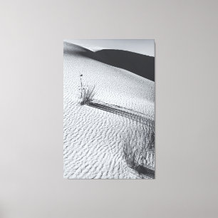 Toile Paysage du désert monochrome avec touffes de laito