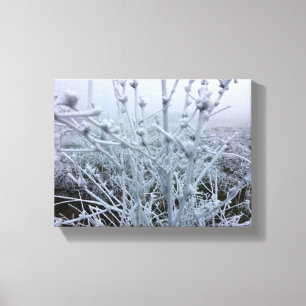 Toile Paysage hivernal de plantes givrés