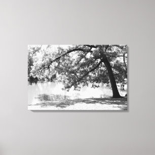 Toile paysage noir et blanc Imprimer