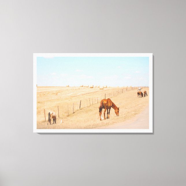 Toile Paysage rural Chevaux sauvages Champs (Recto)