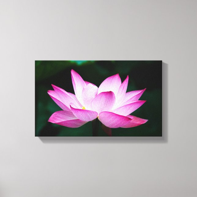 Toile Peaceful Zen Lotus Flower Canvas Print (Recto)