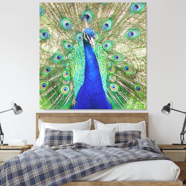 Toile Peacock bleu (Insitu(Chambre))