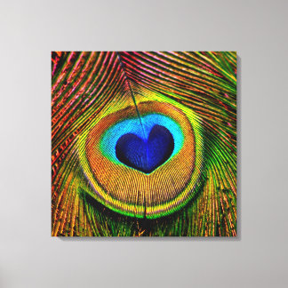 Toile Peacock Feathers OEil d'amour