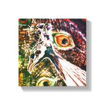 PeacockFeatherLove Vibrant