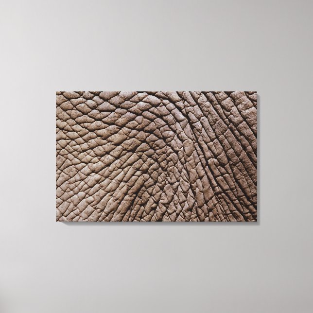 Toile peau d'éléphant africain (Loxodonta africana) (Recto)